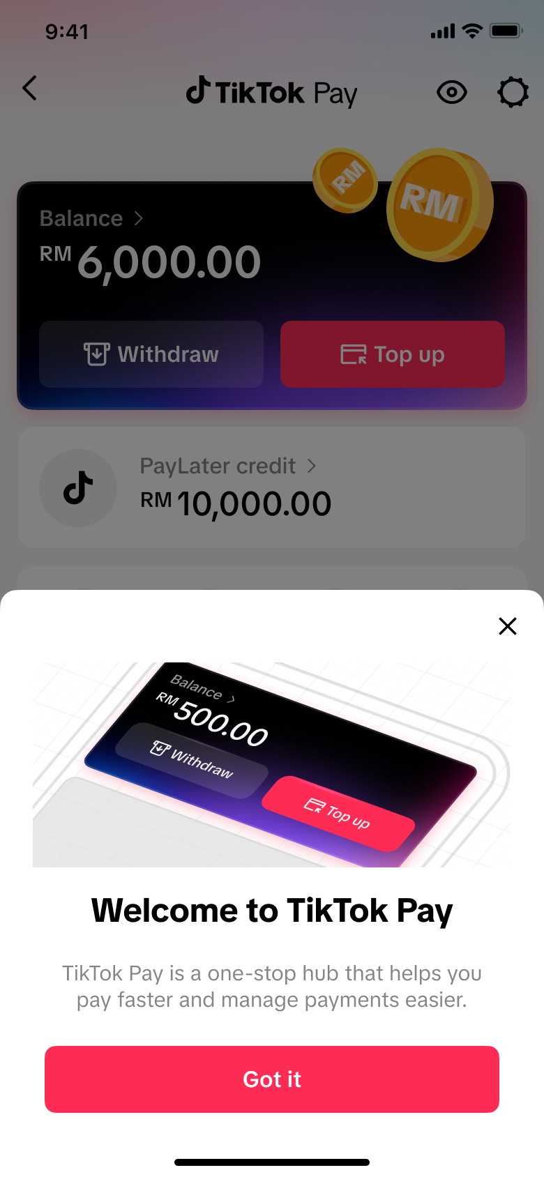 TikTok Pay welcome screen