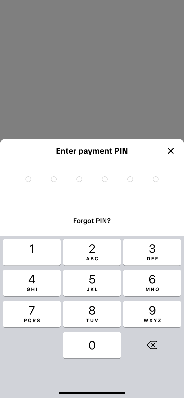 Payment PIN verification initial state